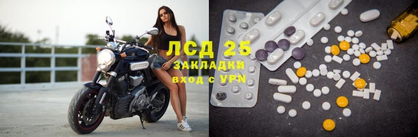 твердый Вяземский