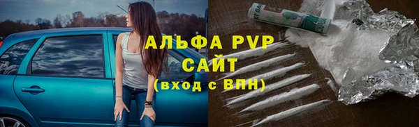твердый Вяземский
