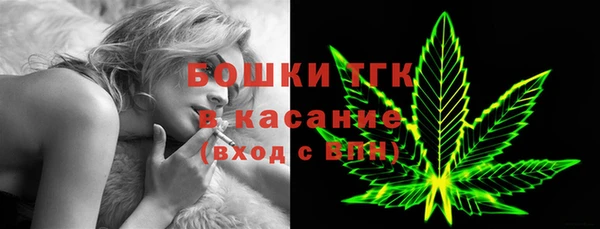 твердый Вяземский