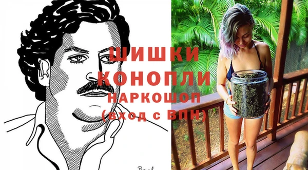 твердый Вяземский