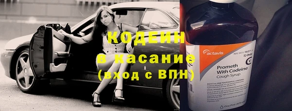 твердый Вяземский