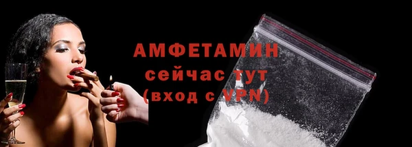 твердый Вяземский