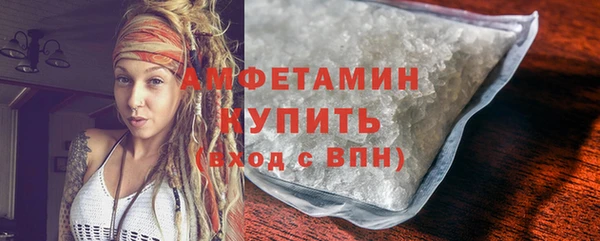 твердый Вяземский