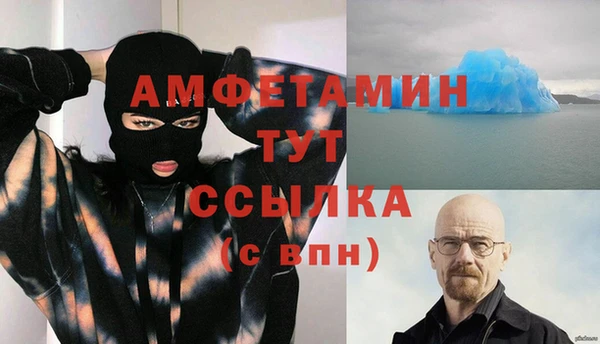 твердый Вяземский