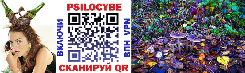 Галлюциногенные грибы мицелий  Могоча 